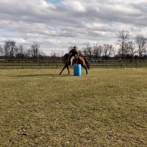 Meet your Posher, Chandler